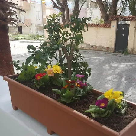 Baris Κουσάντασι